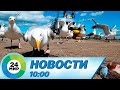  10:00  07.06.2023