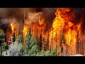 Сибирские леса полыхают огнем. Пожары охватили десятки тысяч гектаров