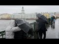 В Петербурге научились предсказывать погоду по народным приметам