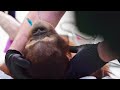 Детеныша орангутанга вылечили от смертельной пневмонии в Московском зоопарке