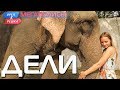 .   .  (eng, rus subs)